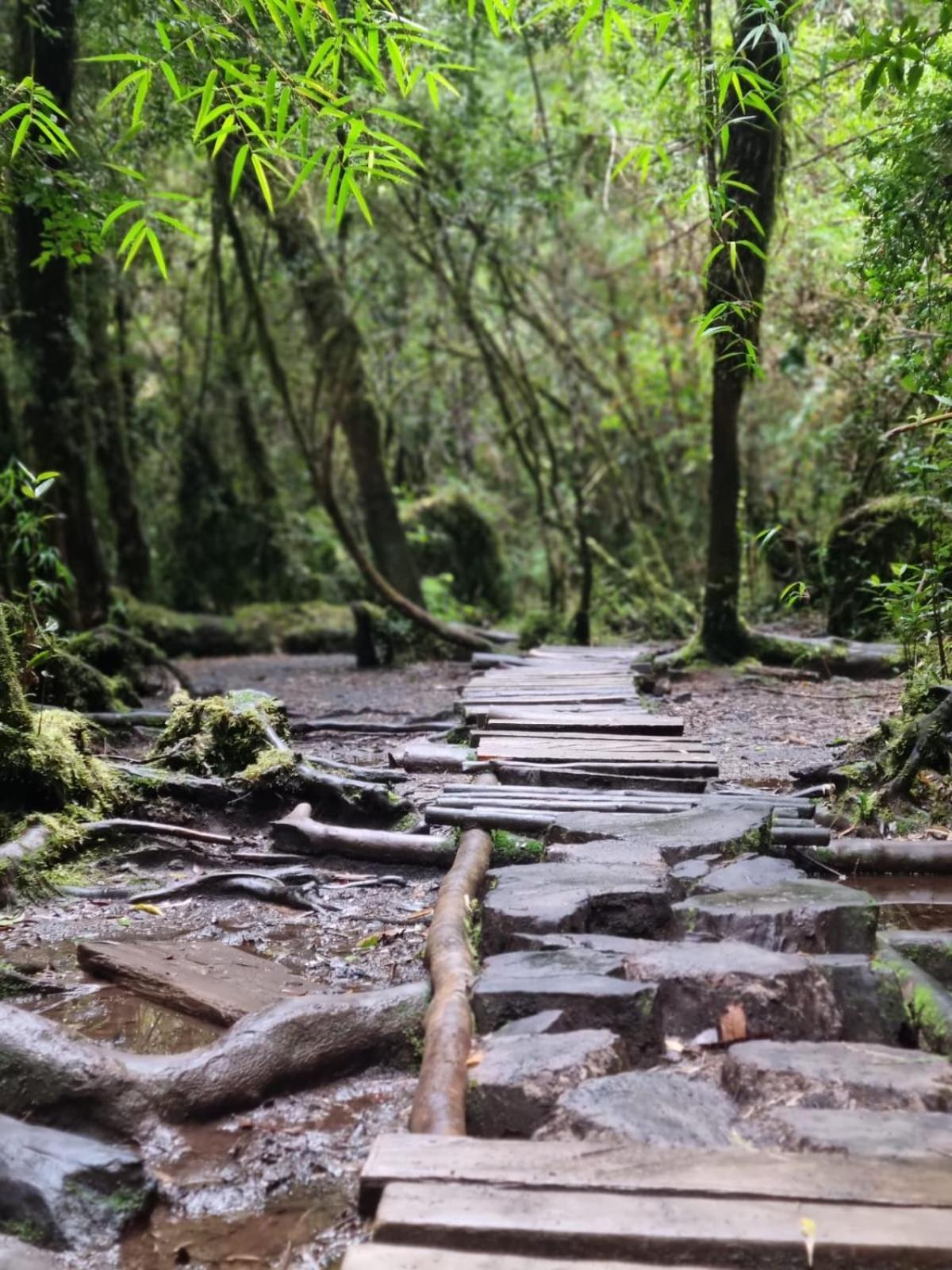 Casa de férias Ensenada, - 1 Ambiente Puerto Varas